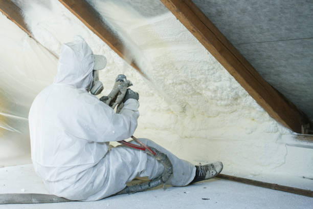 Best Attic Insulation Installation  in Haiku Pauwela, HI